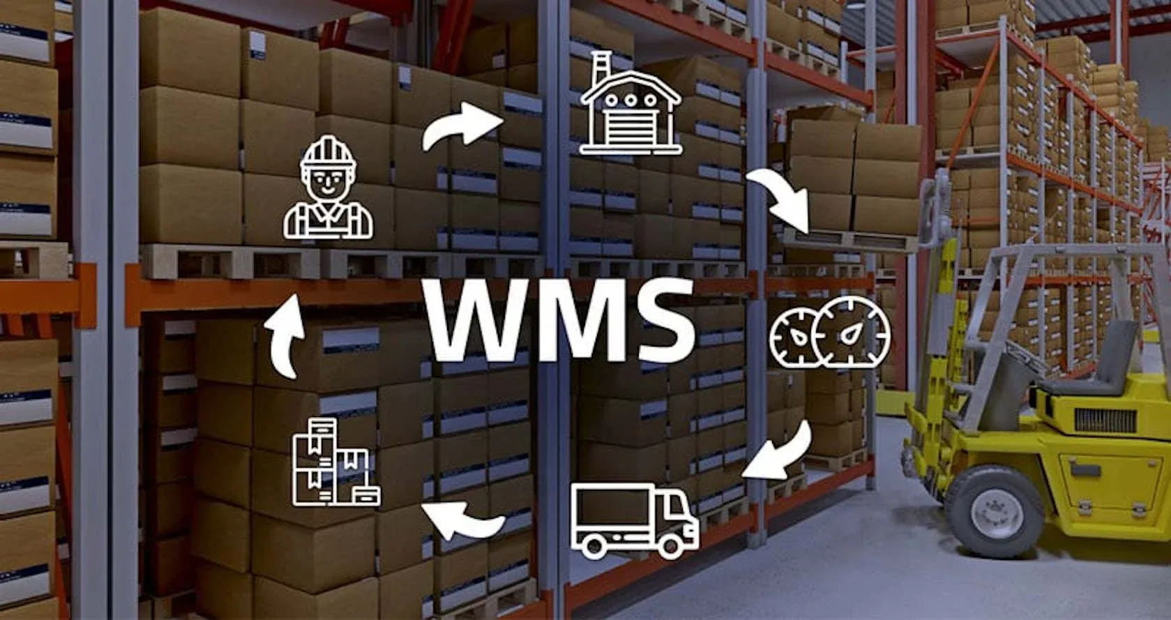 Connexion SAP et WMS