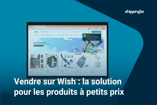 vendre-sur-wish-la-solution-pour-les-produits-a-petits-prix