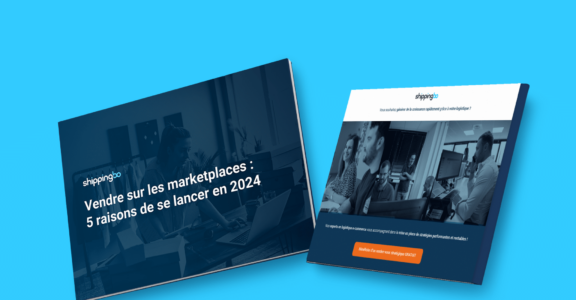 LB Vendre sur les marketplaces 5 raisons de se lancer en 2024