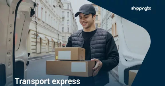 Comment gérer efficacement le transport express dans votre logistique e-commerce