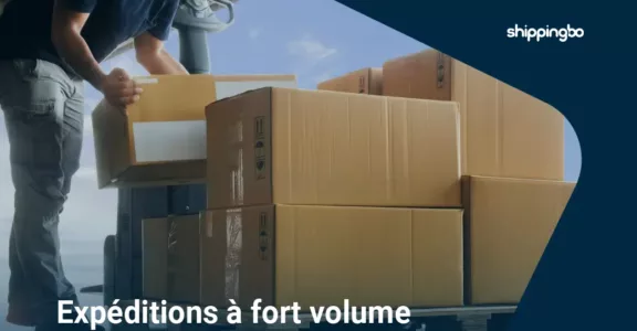 How to succeed with high-volume e-commerce shipments: challenges, methods and tools