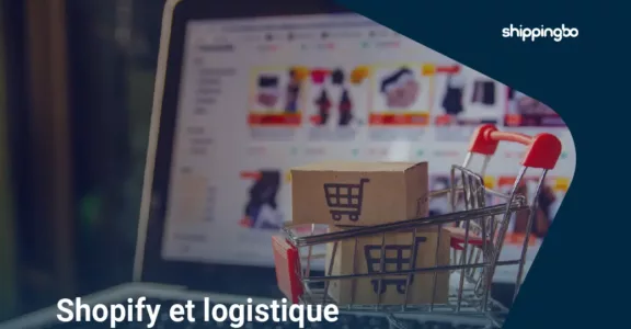 Shopify and logistics: what limits, what solutions?