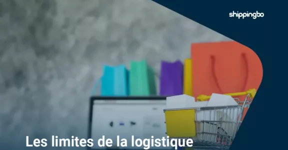 WooCommerce et logistique e-commerce : quelles limites, quelles alternatives ?