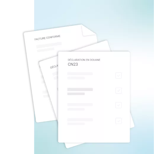Automatic generation of customs documents