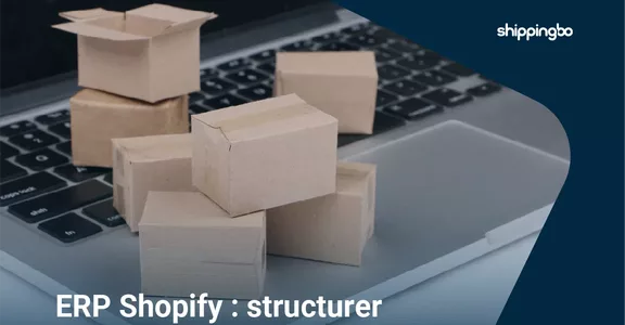 Shopify ERP: how to choose the right solution to structure your e-commerce logistics