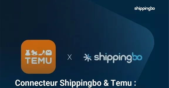 Connecteur Temu