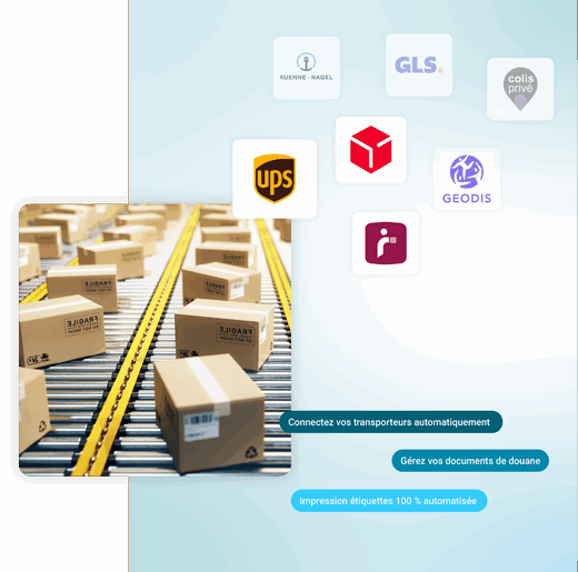 Pack TMS Expert