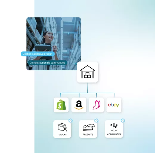Pack OMS 3PL Extranet