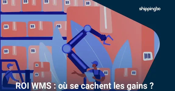 ROI WMS