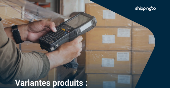 Gestion des variantes produits