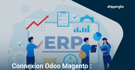 Magento et Odoo : pourquoi viser une architecture plus robuste ?