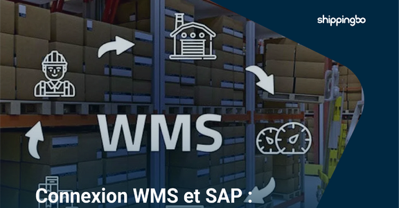 Connexion WMS et SAP : pourquoi connecter votre ERP à une solution logistique ?