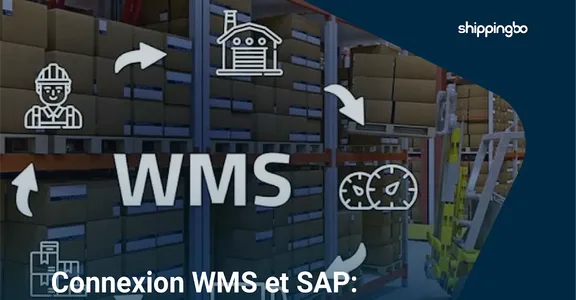 Conectar SGA y SAP: ¿por qué conectar tu ERP a una solución logística?