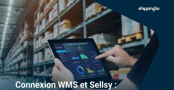Conectar SGA y Sellsy: ¿por qué conectar tu ERP a una solución logística?