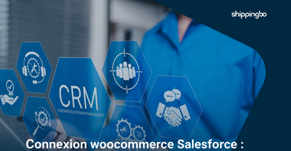 WooCommerce Salesforce connection: why connect your store to a more robust architecture?
